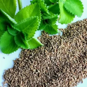 Ajwain | Carom Seeds | اجوائن