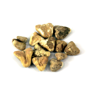 Dried Water Chestnuts | سنگھاڑہ خشک