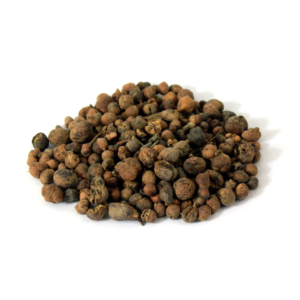 Australian Pine Tree Fruit | مائیں خوردو