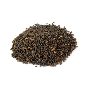 False Black Pepper | باؤ بڑنگ