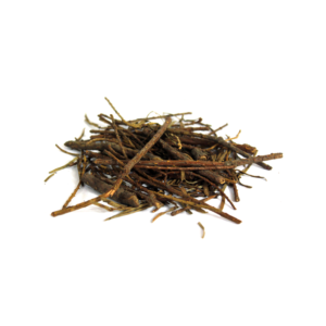 Many Spiked Flacorita | زرنب