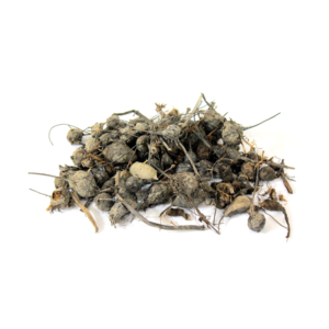 Sweet Cyperus | ناگر موتھ