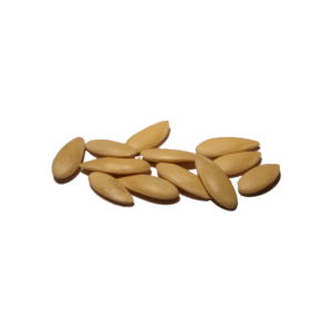 Melon Seeds | تخم خربوزہ