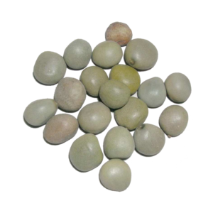 Bonduc Nut | کرنجوہ