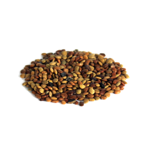 Chinese Chaste Tree Seeds | تخم سنبھالو