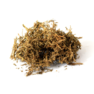 Monarch Redstem | کرنڈ