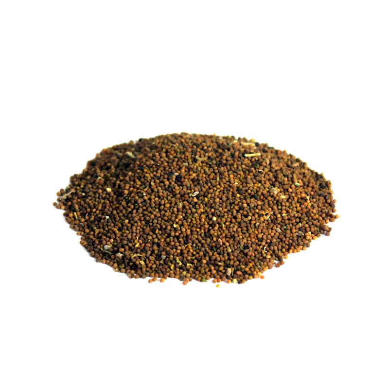 Dodder Seeds | تخم کثوث