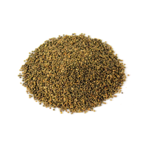 Madras Leaf Flower Seeds | تخم کنو چہ