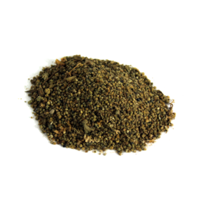 Cassia Seeds | تخم پنواڑ