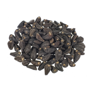 Japanese Morning Glory Seeds | تخم نیل