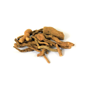 Snake Root | اسرول