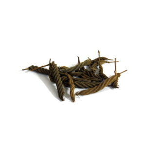 Screw Tree | مڑوڑ پھلی