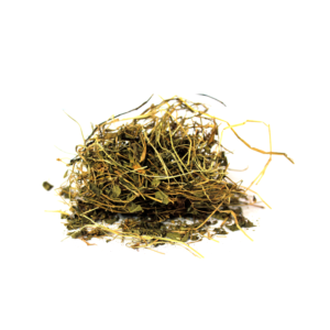 Centella | برہمی بوٹی