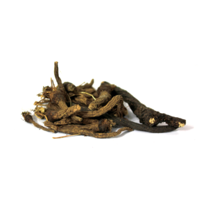 Pellitory Roots | عقرقرحا