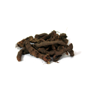 Knotgrass | انجبار