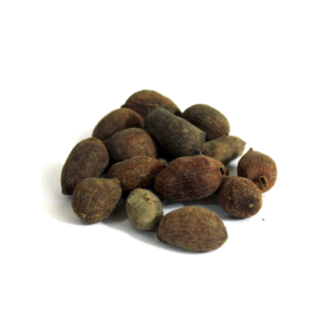 Jambolan Seeds | تخم جامن