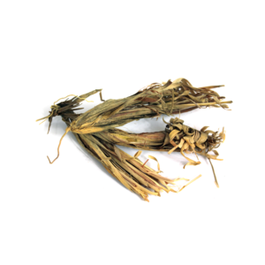 Izkher Roots | بیخ اذخر