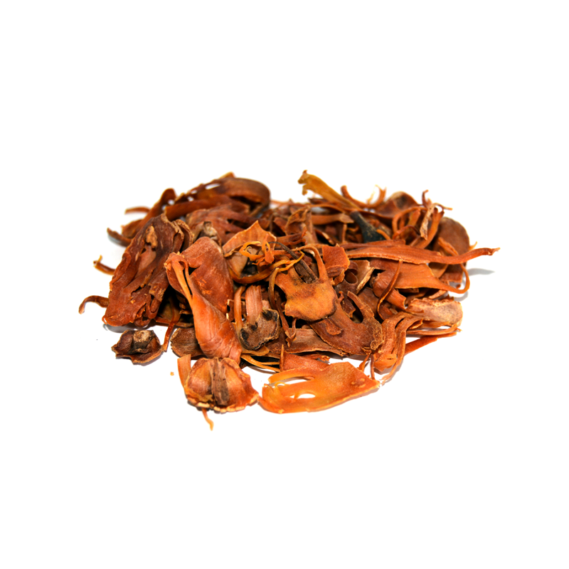 Mace | جاوتری