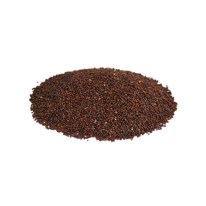 Black Mustard Seeds | رائی