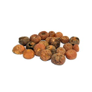 Smearwort | زراوندمدحرج