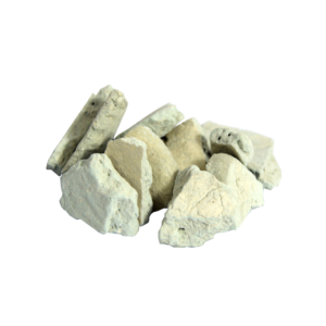 Gulancha Tinospora | ست گلو
