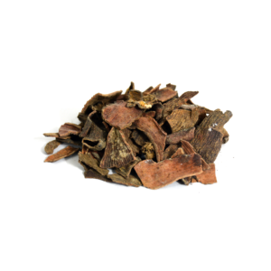 Pistacia | کاکڑاسنگی