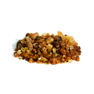 Babool Gum | گوندببول