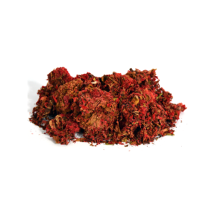 Pomegranate Flower | گلنار