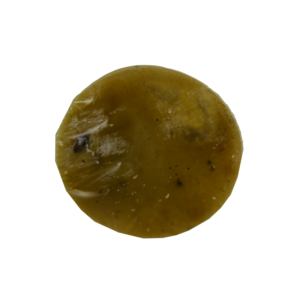 Gum Rosin | گندہ بہروزہ