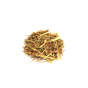 Fagonia | دھماسہ