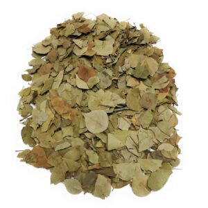 Berry Leaves | Berg e Berry | بیری کے پیے