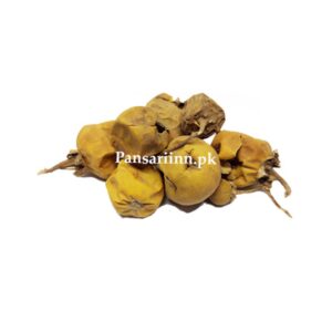 Bhat Katiya | Wild Egg Plant | بھٹ کٹیا
