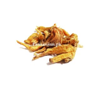Saleb Panja | panja, saleb | ثعلب پنجہ