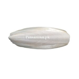 Samandari Jhag | samandari | سمندر جھاگ