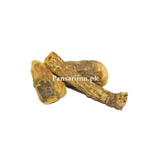 Revand Khatai | ریوند خطائی