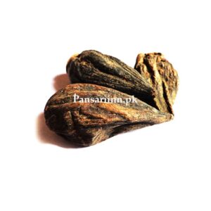 Salab Gatta (Saleb Orchid Root) | Salab Gatta | سعلب گٹہ