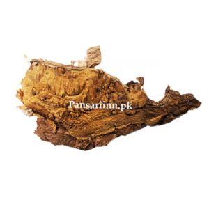 Bhoj Patra | Himalayan Birch | بھوج پٹر