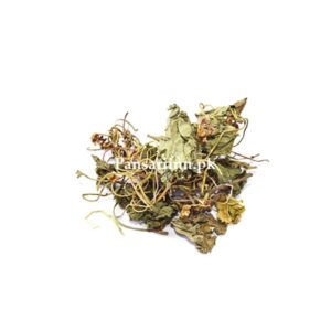 Gule Banafsha | Wood Violet, English Violet | گل بنفشہ