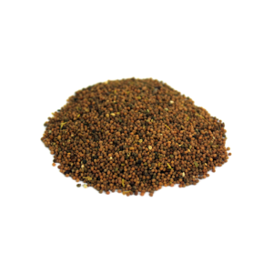 Punarnava -Tukhme Ispath | Punarnava | تخم اسپت