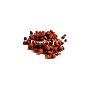Malkangani | مالکنگنی