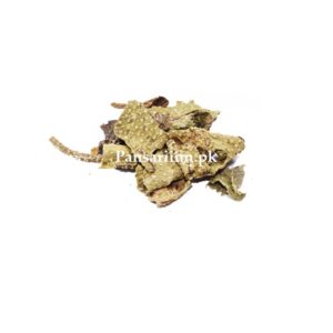 Gaozaban | Borage | برگ گاؤزبان