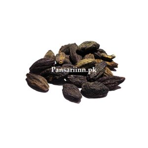 Choti Harr- Harr Siya | Black Chebulic Myrobalan | چھوٹی ہڑ