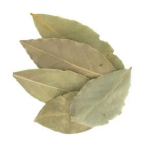 Bay Leaf | Tezz Patta | تیز پات تیز پتہ