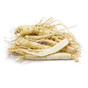 Ginseng (جنسنگ ) | panax | جنسنگ