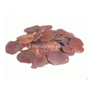 Dhaak Seeds | Palas Papadi